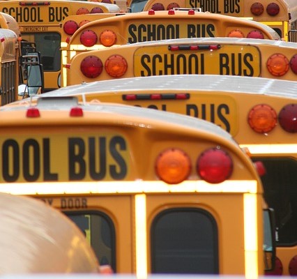 The RCMP in Nova Scotia are investigating a massive theft of catalytic converters at a school bus depot in Lucasville, N.S.